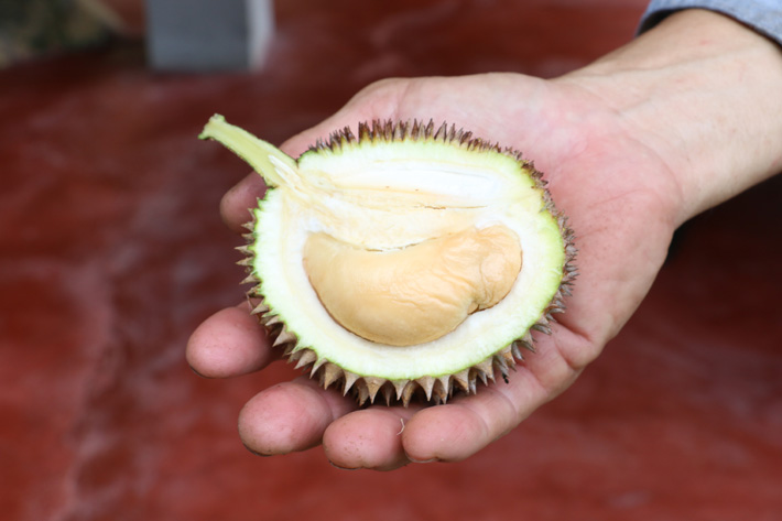 クリックすると拡大表示になります