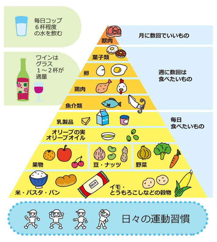 第12回 おいしく健康になれる食生活㊤：アンチエイジングの教科書：かもめの本棚 online