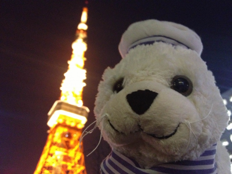クリックすると拡大表示になります