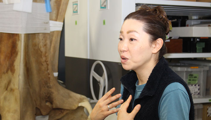 第1回 遠くて近い海獣を知りたい：第1回 遠くて近い海獣を知り