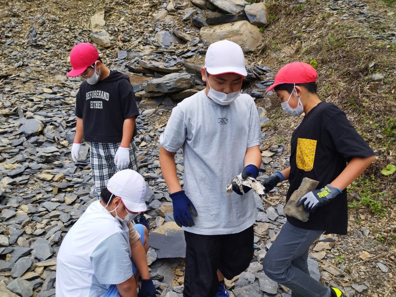 クリックすると拡大表示になります