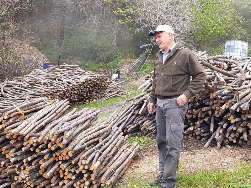 クリックすると拡大表示になります