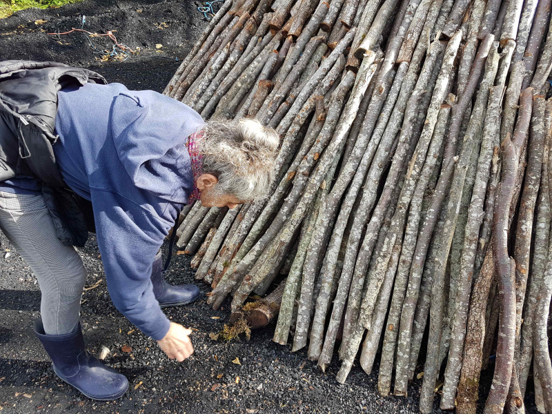 クリックすると拡大表示になります