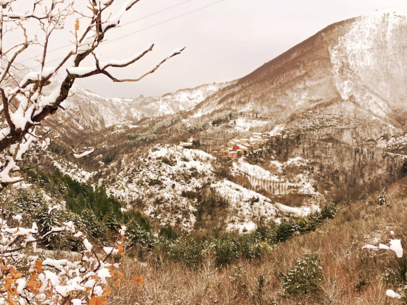 クリックすると拡大表示になります