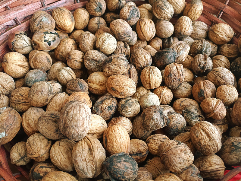 クリックすると拡大表示になります