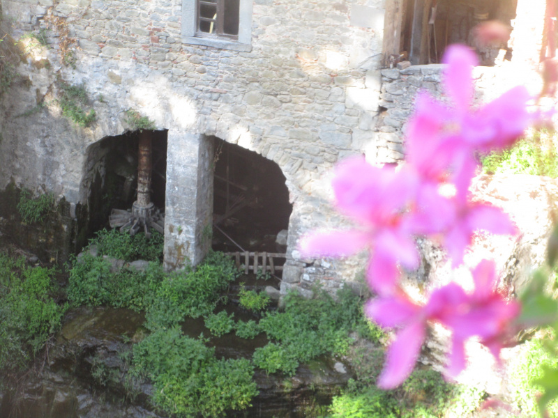 クリックすると拡大表示になります