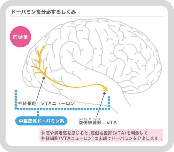 クリックすると拡大表示になります