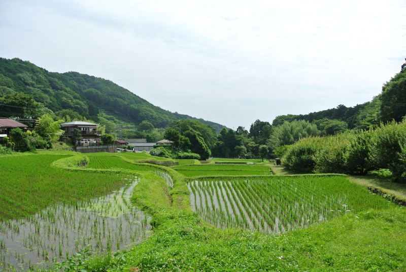 クリックすると拡大表示になります