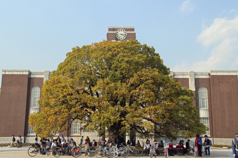 クリックすると拡大表示になります