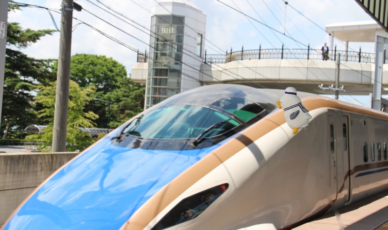 クリックすると拡大表示になります