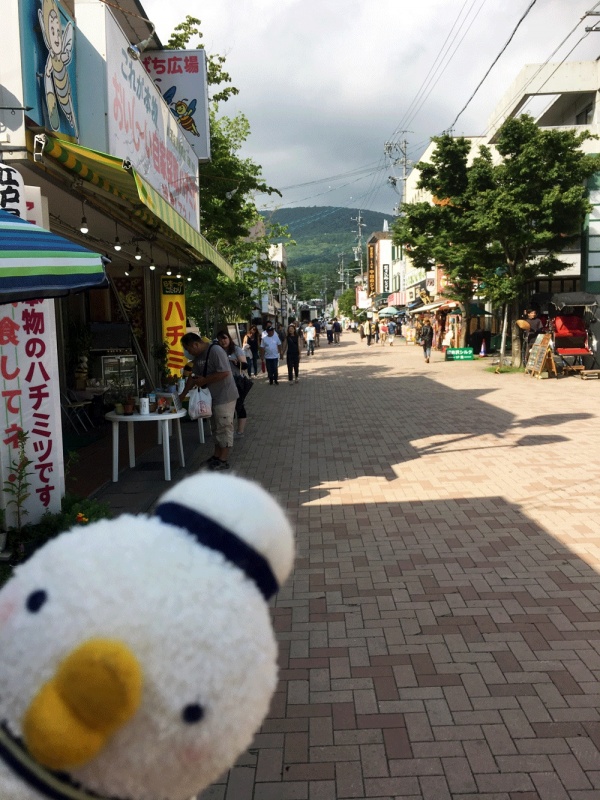 クリックすると拡大表示になります