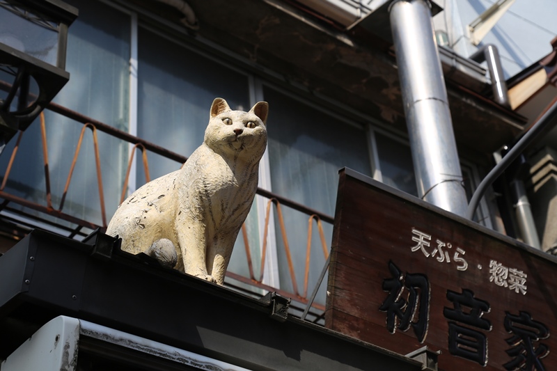 クリックすると拡大表示になります