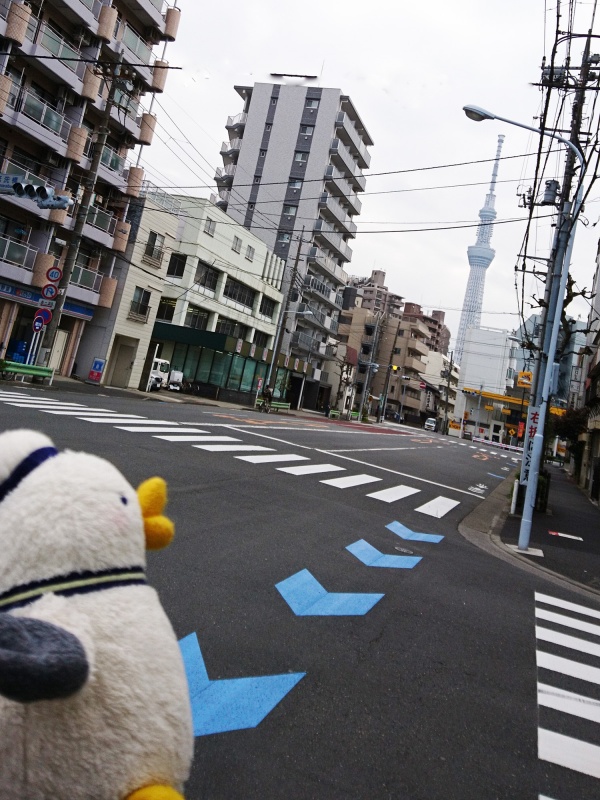 クリックすると拡大表示になります