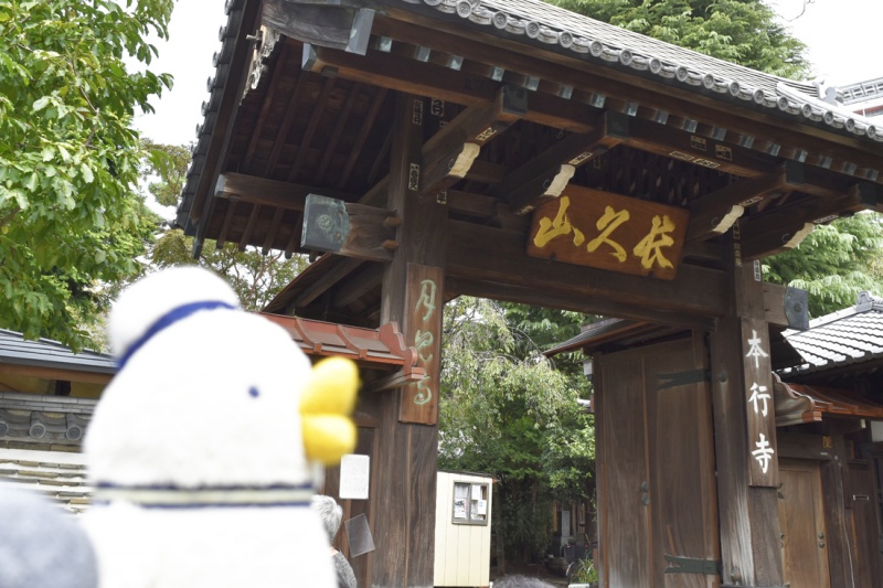 クリックすると拡大表示になります