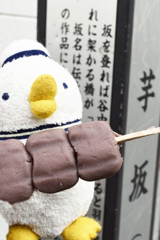 クリックすると拡大表示になります