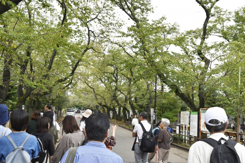 クリックすると拡大表示になります