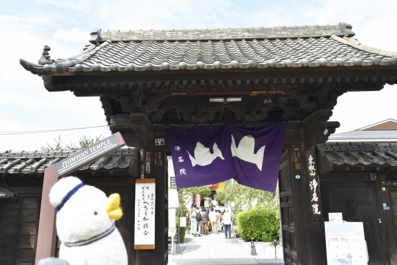 クリックすると拡大表示になります