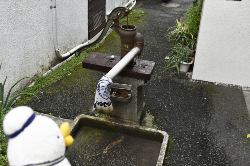 クリックすると拡大表示になります