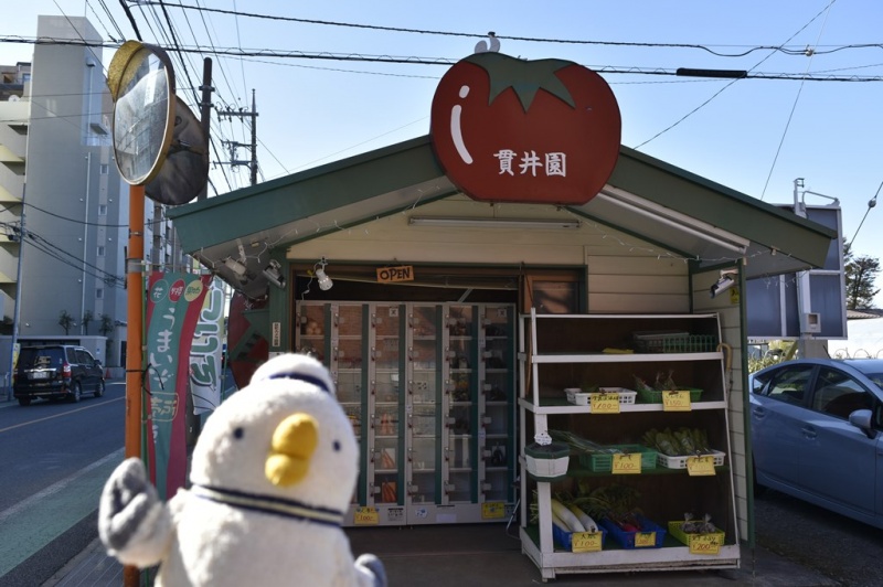 クリックすると拡大表示になります