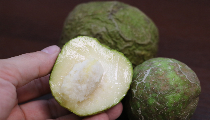 第5話 フェイクアップルの系譜?：第5話 フェイクアップルの系譜