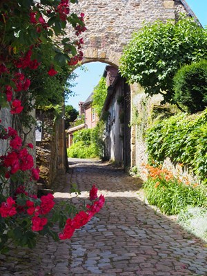 フランスの花の村を訪ねる かもめの本棚 Online