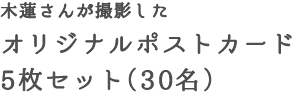 木蓮さんが撮影したオリジナルポストカード5枚セット（30名）