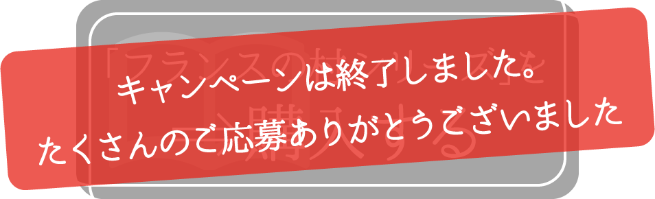 「フランスの村シリーズ」を購入する